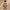 PASTEL LILY CO-ORD SET