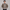 PLUSH TAILORED JACKET - BEIGE