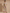 CUBIST CANVAS CO-ORD SET