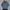 Men Winter Jacket