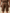 WAFFLE TEXTURED MEN'S SHORTS